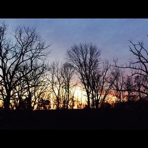 Meet your Posher, Angelina